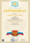 Сертификат об участии в вебинаре 